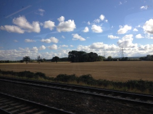 landscape from train