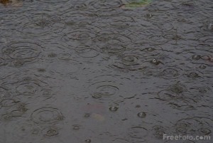 Picture of the rain