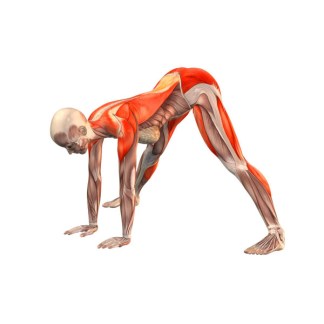 wide-legged-forward-bend