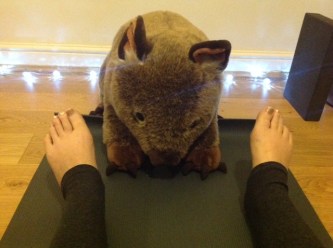 wombat yoga