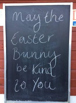 may easter bunny be kind.JPG