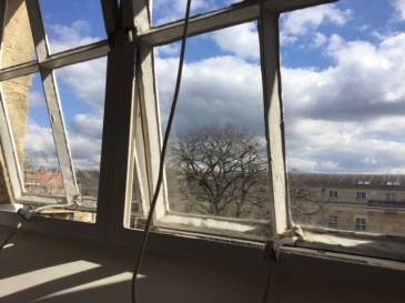 office view.jpg