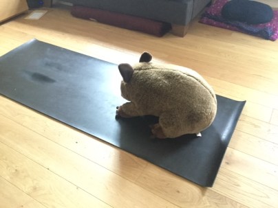 wombat helper.jpg