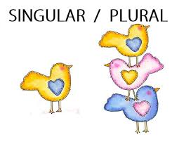 singular plural.jpg